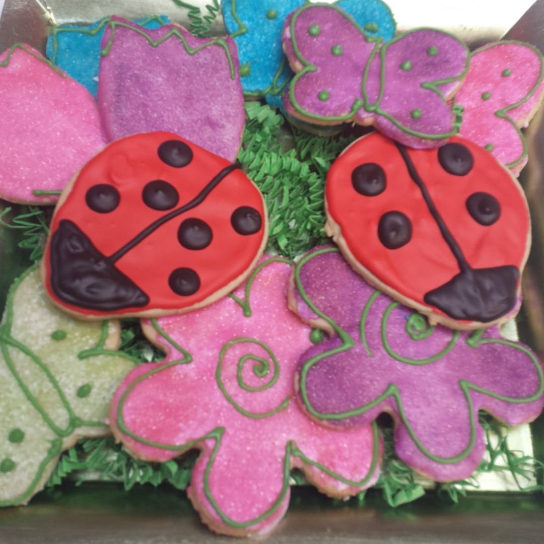 What's in store today?  Sugar cookies! Ladybugs and flowers! Stop in til 5! #specialty