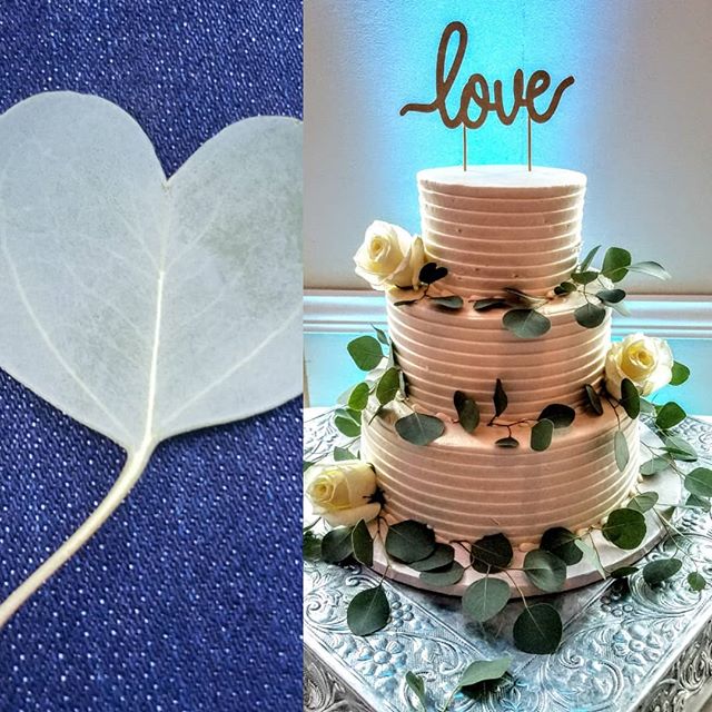 Wedding season continues- check out the eucalyptus ❤ I found while adding the final details to the cake #specialty @birchwoodsatoaklane